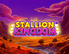 Stallion Kingdom